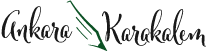 Ankara Karakalem Portre Sipariş Logo